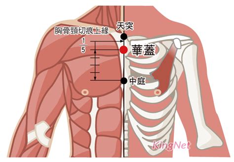 華蓋穴